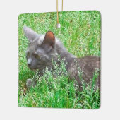 Graue Tortie Katze Keramikornament (Links)
