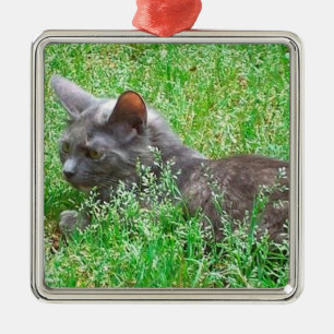 Graue Tortie Katze Ornament Aus Metall