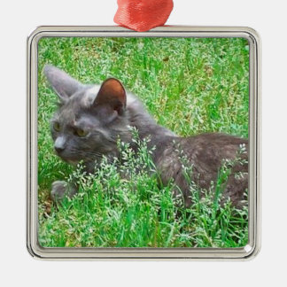 Graue Tortie Katze Ornament Aus Metall