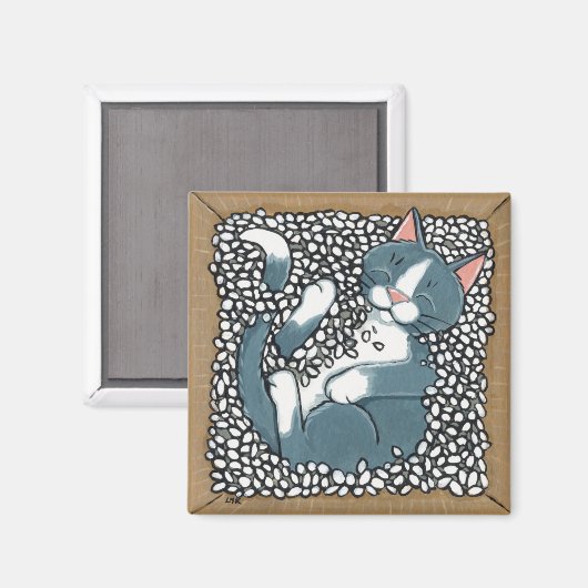 Graue Tuxedo Katze Schlafen in Packung Erdnüsse Magnet (Vorderseite/Rückseite)