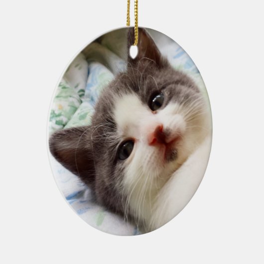 Graue u. weiße Kätzchen-Verzierung Keramikornament (Rechts)