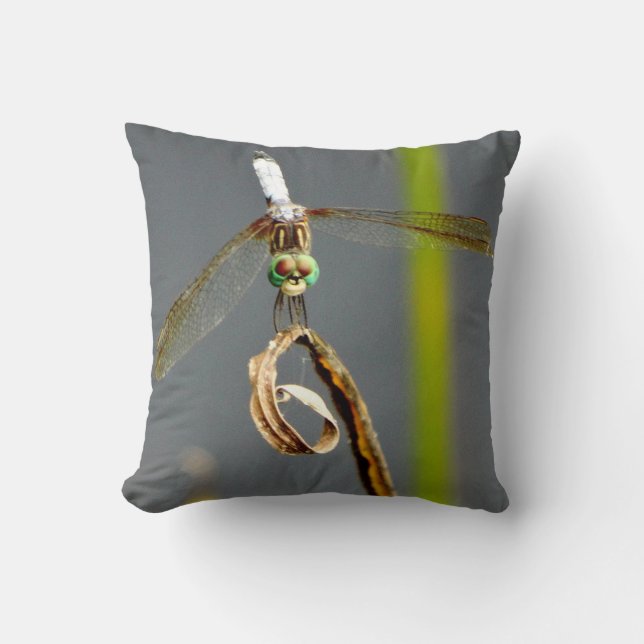 Graue und gelbe Kalkgrün Kissen aquamarine Libelle (Vorderseite)