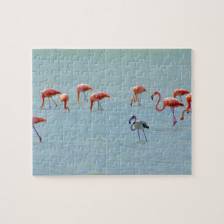 Graue und rosa Flamingomenge im See Puzzle