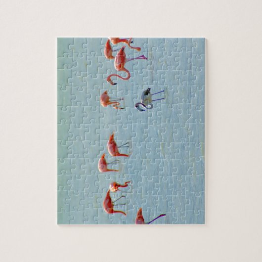 Graue und rosa Flamingomenge im See Puzzle (Vertikal)