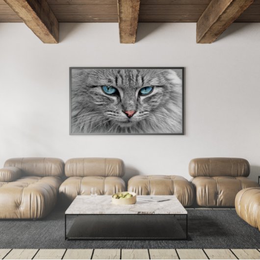 Graue und schwarze Tabby Katze mit schönen blauen Poster