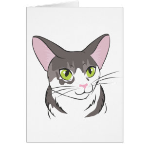 Graue und weiße Katze