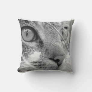 graue und weiße Katze auf einem grünen Kissen