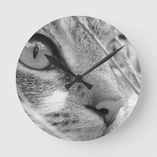 graue und weiße Katze auf einem grünen Runde Wanduhr