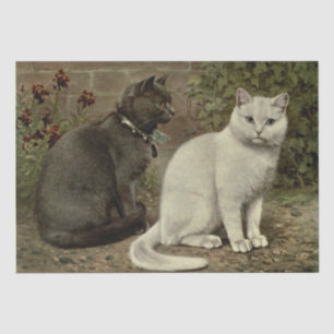 Graue und weiße Katze Ephemera Decoupage Seidenpapier