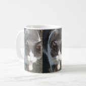 Graue und weiße Katze Kaffeetasse (Vorderseite Links)