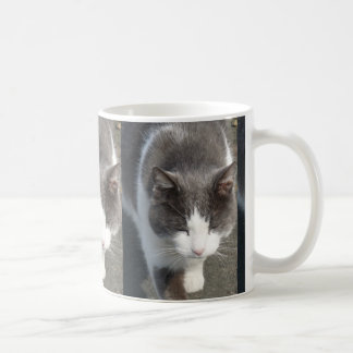 Graue und weiße Katze Kaffeetasse