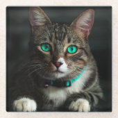 Graue und weiße Katze mit blauen Augen und Matchin Glasuntersetzer (Vorderseite)