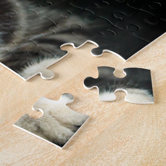Graue und weiße Katze mit blauen Augen und Matchin Puzzle (Seite)