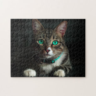 Graue und weiße Katze mit blauen Augen und Matchin Puzzle