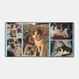 Graue und weiße Katze Schreibtischunterlage