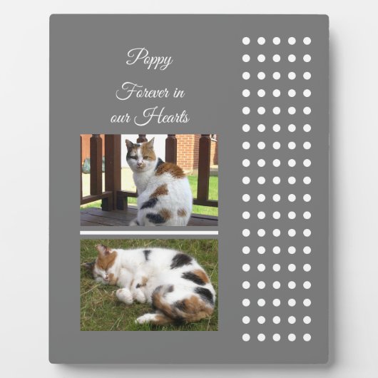 Graue und weiße Katze zur Erinnerung an Haustiere  Fotoplatte (Vorderseite)