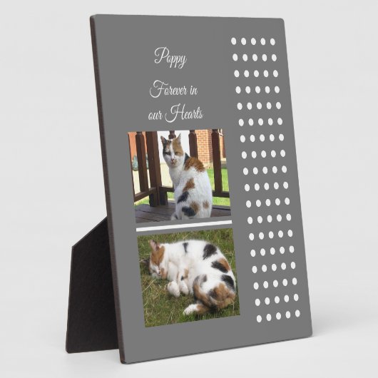 Graue und weiße Katze zur Erinnerung an Haustiere  Fotoplatte (Seite)