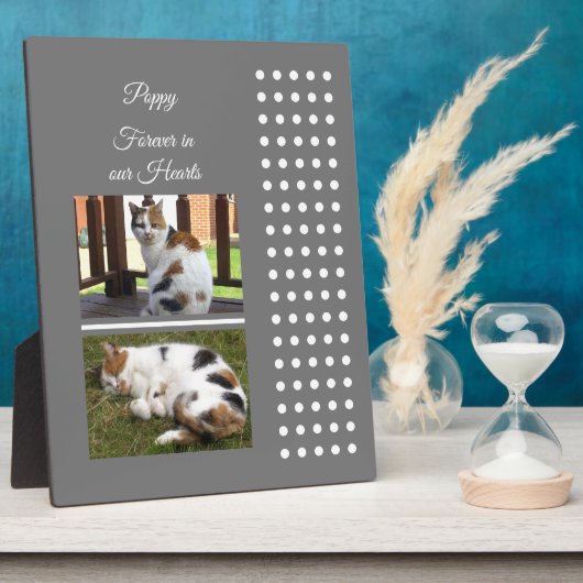 Graue und weiße Katze zur Erinnerung an Haustiere  Fotoplatte (Seite)