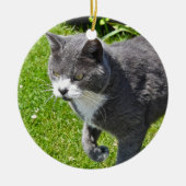 Graue und weiße Katzen-Verzierung Keramik Ornament (Vorne)