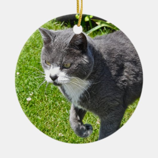 Graue und weiße Katzen-Verzierung Keramik Ornament (Vorne)