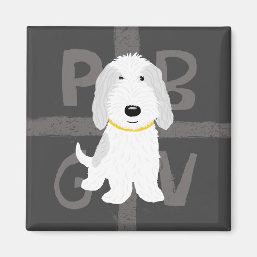 Graue und weiße PBGV Magnet (Vorne)