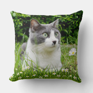 Graue und weiße Smokingkatze und Blumen Kissen