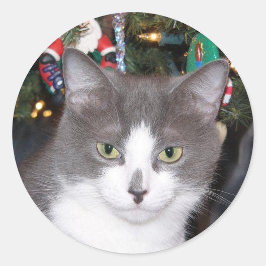 Graue und weiße Weihnachtskitty Runder Aufkleber (Vorderseite)