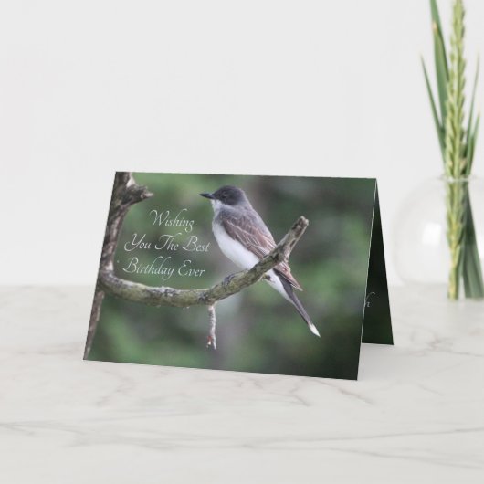Graue Vogelfotografie Karte (Vorderseite)