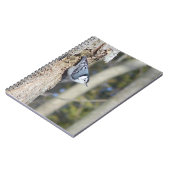 Graue Vogelfotografie Notizblock (Linke Seite)