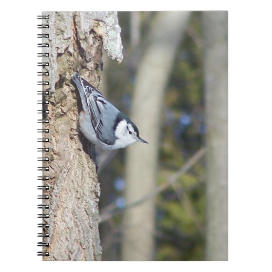Graue Vogelfotografie Notizblock (Vorderseite)