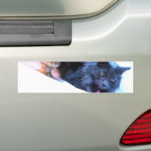 Graue WeihnachtsMiezekatze III Autoaufkleber (Auf Auto)