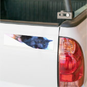Graue WeihnachtsMiezekatze III Autoaufkleber (Auf Lkw)