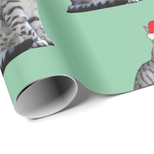 Graue, weiße Katze mit einer Weihnachtsmannmütze Geschenkpapier (Rolleneckpunkt)