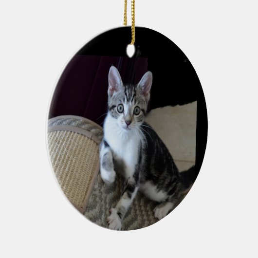 Graue/weiße Tablette Kitten Ornament (Rechts)