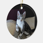 Graue/weiße Tablette Kitten Ornament (Links)