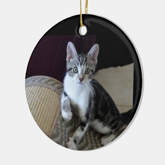 Graue/weiße Tablette Kitten Ornament (Links)