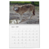 Graue Wolf-Kalender, graue Wölfe Kalender (Mär 2027)