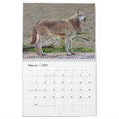 Graue Wolf-Kalender, graue Wölfe Kalender (Feb 2027)