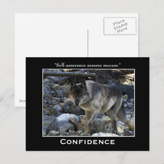 Graue Wolf Motivierend Postkarten (Vorne/Hinten)