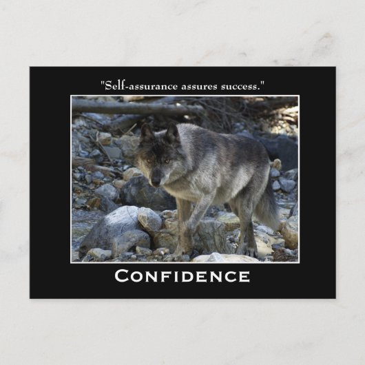 Graue Wolf Motivierend Postkarten (Vorderseite)