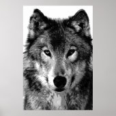 Graue Wolf Poster Print (Vorne)