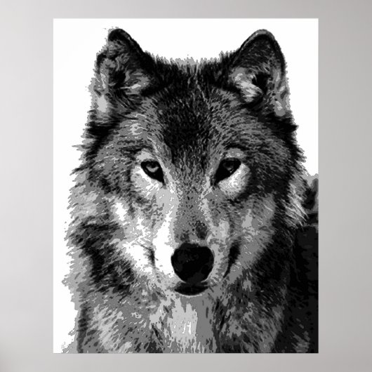 Graue Wolf Poster Print (Vorne)