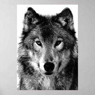Graue Wolf Poster Print