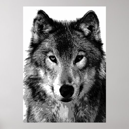 Graue Wolf Poster Print (Vorne)