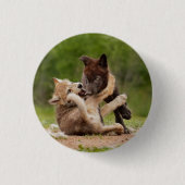 Graue Wolf Pups Wresting Button (Vorderseite)