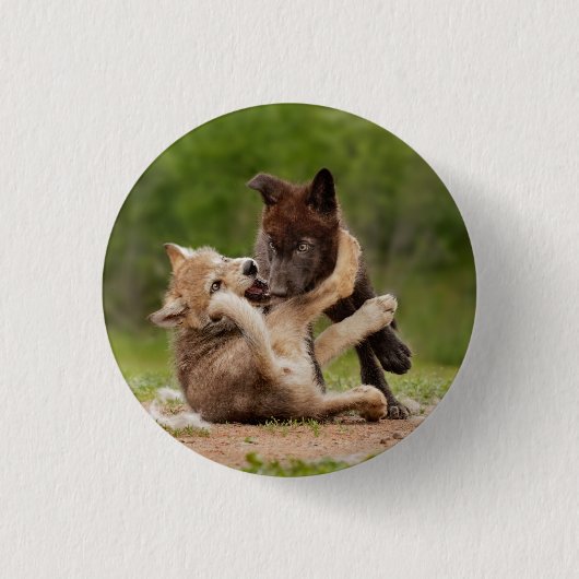Graue Wolf Pups Wresting Button (Vorderseite)