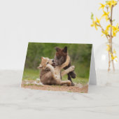 Graue Wolf Pups Wresting Karte (Gelbe Blume)