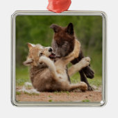 Graue Wolf Pups Wresting Ornament Aus Metall (Vorne)