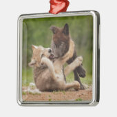 Graue Wolf Pups Wresting Ornament Aus Metall (Links)