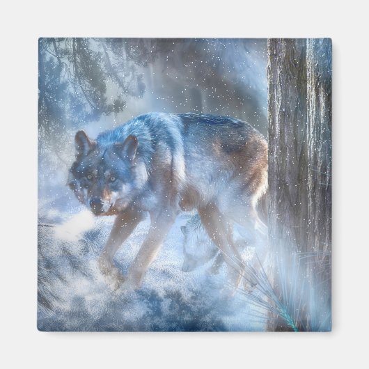 Graue Wolf-SAISON DER WOLF Magnet (Vorne)